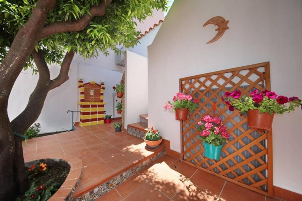 Philoxenia Guest House Skopelos Exterior foto